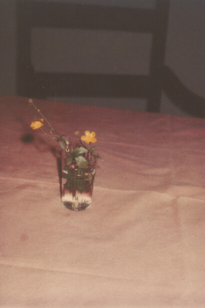 Polaroid von Peter Handke (detail), 26.11.1981. Mit freundlicher genehmigung des Literature Museum