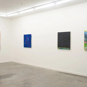 Hampton Boyer, Wielding instinct, exhibition view. Courtesy of Romer Young Gallery