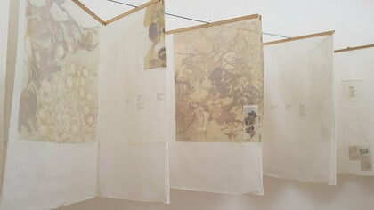 INTER/Fases, Dinorah Carballo en el Museo Rafael Ángel Calderón Guardia