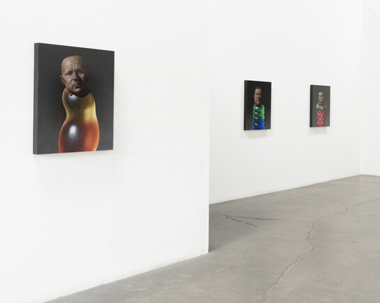 Christian Rex Van Minnen, Exhibition view. Courtesy of Richard Heller Gallery