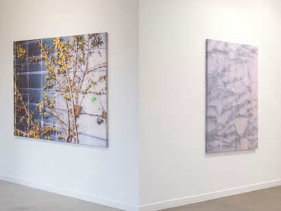 Max Kesteloot, Neo romanticism, exhibition view. Courtesy of Valerius Gallery