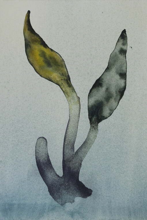 Subliminal Sanctuary. Courtesy of Jules Maeght Gallery