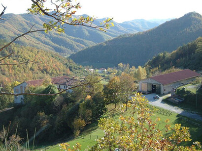 Aziende agricole nel paesaggio del Metauro