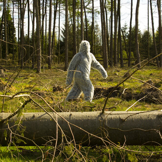 Mark Peter Wright, I, the Thing in the Margins, 2015