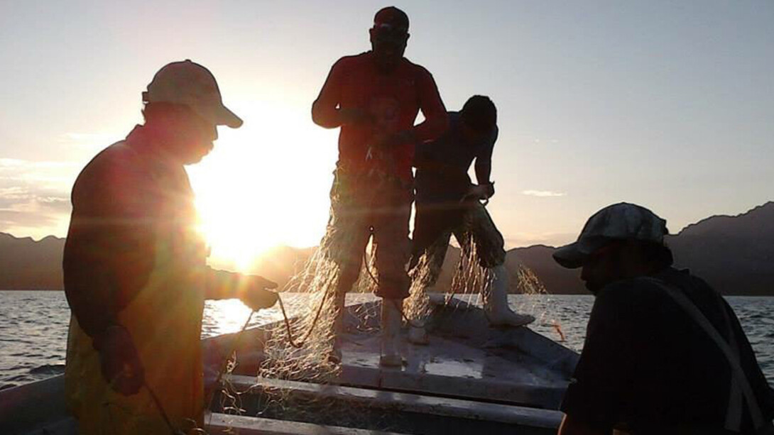 El Noroeste De México. Courtesy of Museo Nacional de Antropología