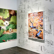 Sheida Soleimani. Courtesy of Library Street Collective