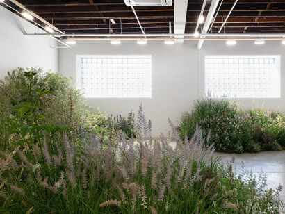 Nicole Rossi, Desire path, exhibition view. Courtesy of Carvalho
