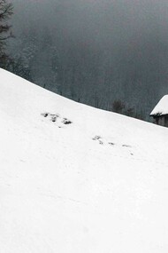 Winter day