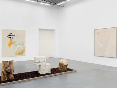 Jenny Brosinski, In my cloud (no birds), vue de l'exposition. Avec l'aimable autorisation de la galerie Almine Rech
