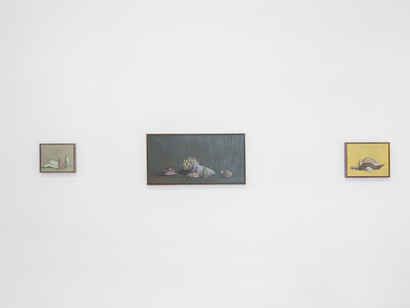 Deborah Hanson Murphy, Variations 1974 – 1983, exhibition view. Courtesy of Travesía Cuatro
