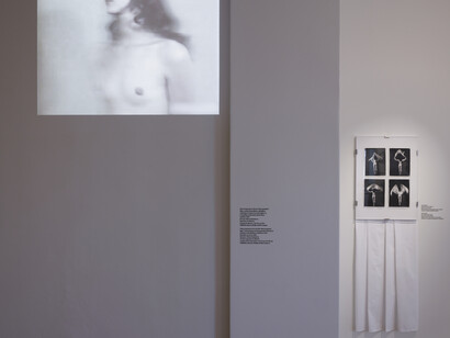 Gleizds, paper, scissors, exhibition view. Courtesy of Pauls Stradiņš Medicine History Museum. Photo courtesy of Ansis Starks