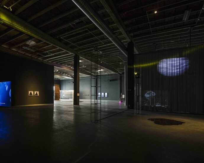 Ex Situ. Courtesy of Copenhagen Contemporary