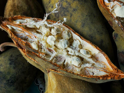 Known for its resilience in drought-prone regions, baobab fruit not only supports nutrition but also contributes to sustainable agriculture and rural economies