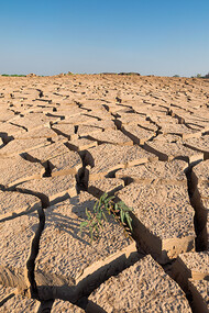 Cambiamenti climatici
