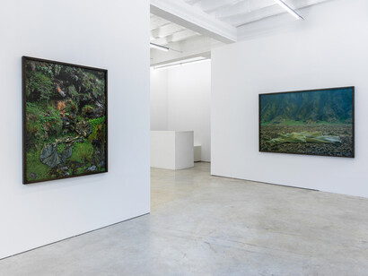 Riitta Päiväläinen, Phantasma, ausstellungsansicht. Mit freundlicher genehmigung von Persons Projects