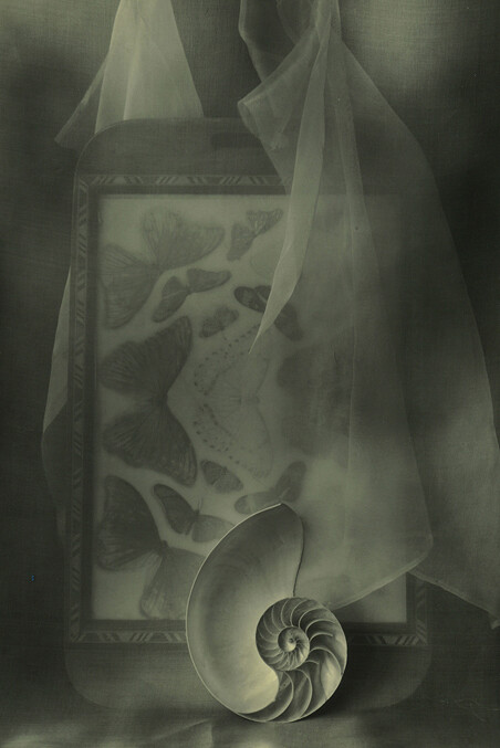 Looking Glass