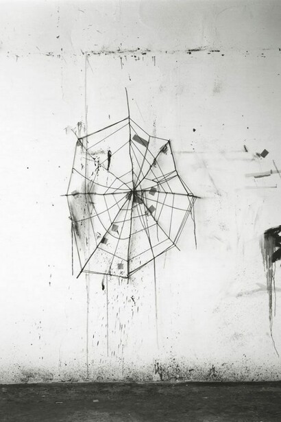 Saul Fletcher, Untitled #276 (Spider Web), 2013, Silver gelatin print, 6 7/8 x 5 7/16 inches, Courtesy Anton Kern Gallery, New York