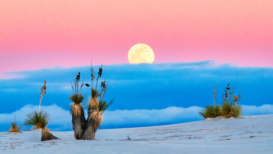 La maravillosa Pachamama nos habita y nosotros la habitamos a ella