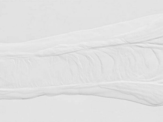 Anthony Pearson, Detail: Untitled (Plaster Positive), 2013, Hydrocal in lacquer finished maple frame, 30.75 x 60.5 x 3 inches, 78.1 x 153.7 x 7.6 cm