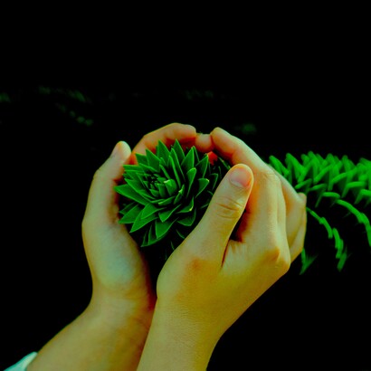 Sostenibilidad o barbarie