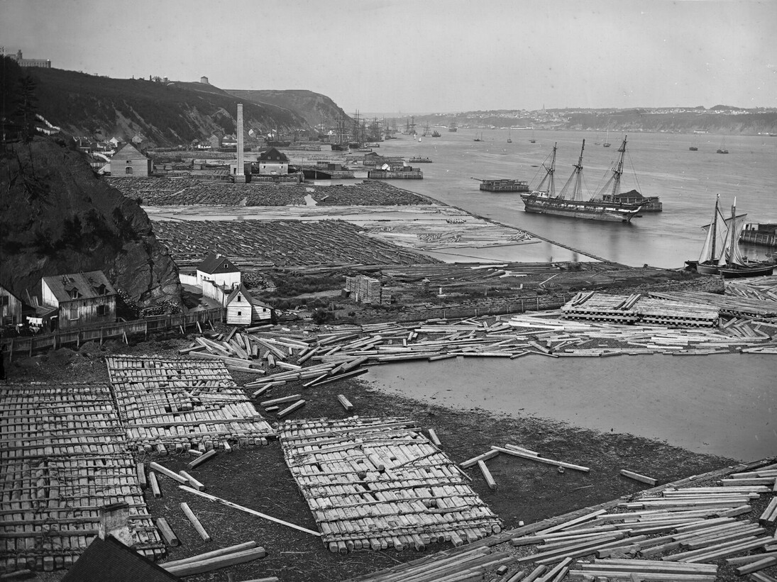 Timber coves at Quebec City, Que., 1872 Reversed glass plate negative ©McCord Museum