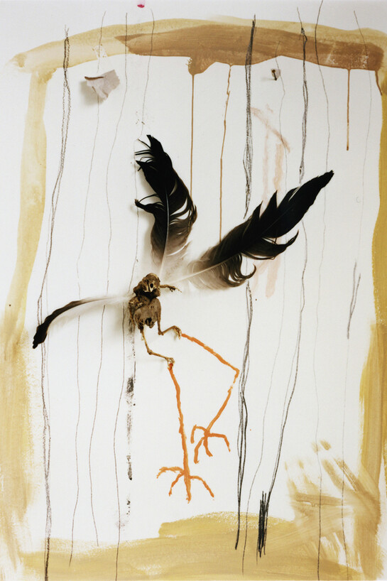 Saul Fletcher, Untitled #298, 2014, Signed and dated on verso, C-print, Image Size: 13.8 x 10.8 cm / 5 3/8 x 4 1/4 ins, Framed: 57 x 47 cm / 22 1/2 x 18 1/2 ins, Edition 3/5 + 1 AP 