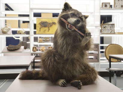 Aha?! Forschungswerkstatt, ausstellungsansicht. Mit freundlicher genehmigung des Senckenberg Naturmuseums