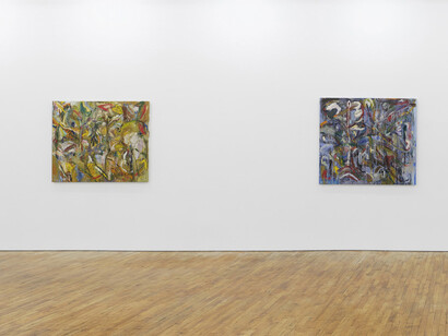 Lu Ferreira, Estranhas luzes no bosque, exhibition view. Courtesy of Tara Downs
