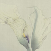 Salomon Arts Gallery