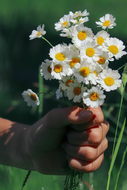 Small acts of kindness quickly spread positive energy to everyone