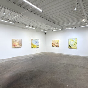 Janet Jacobs, Hope rising, exhibition view. Courtesy of Eleanor Harwood Gallery