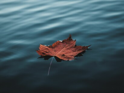 Novenber, a quiet month