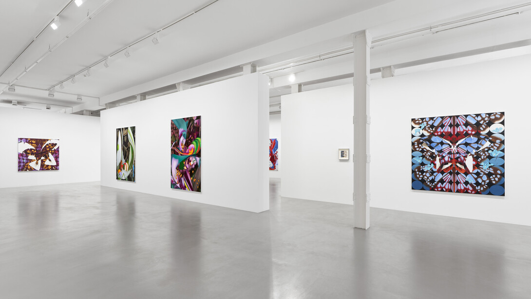 Vivien Zhang, Field conditions, exhibition view. Courtesy of Galerie Max Hetzler