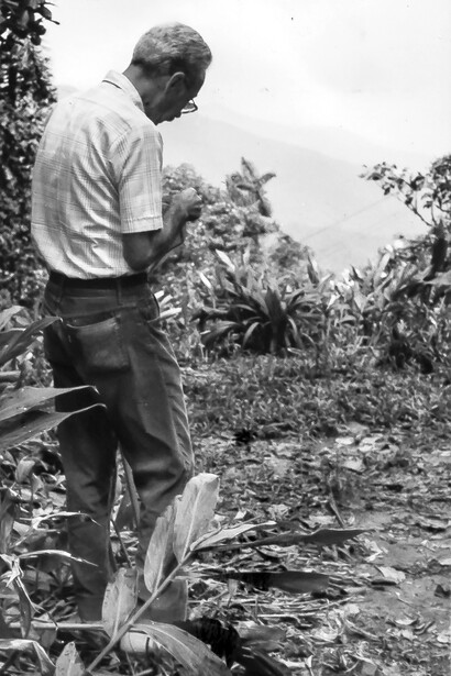 Francisco Fernández Yépez, 1986. Colección Alberto Fernández Badillo