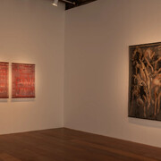 Vivian Caccuri, Nocetra, exhibition view. Courtesy of A Gentil Carioca Gallery