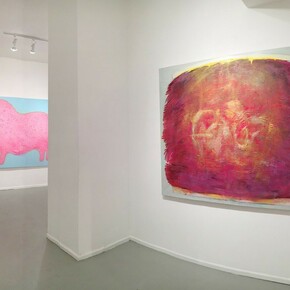 Jennifer Coates, Exhibition view. Courtesy of Freight+Volume