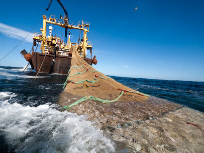Pesca de arrastre