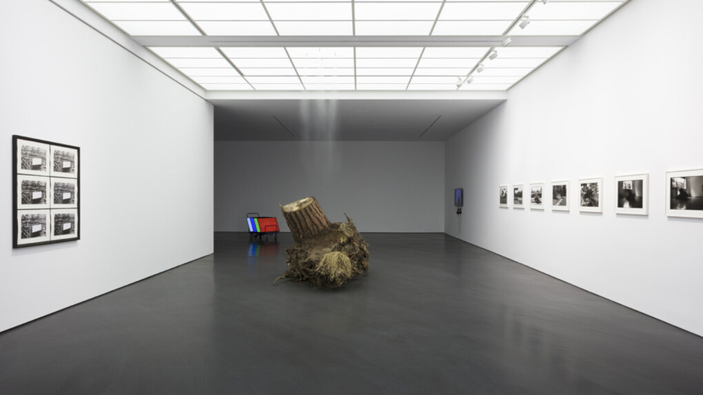 Christoph Keller, Hito Steyerl, Tao Hui. Courtesy of Esther Schipper