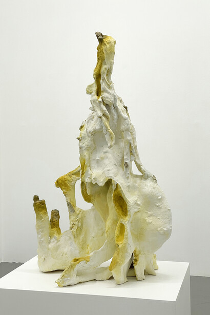 Adaptations, exhibition view. Courtesy of Bruno David Gallery