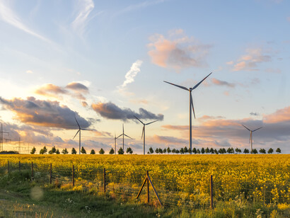 Turbines generate electricity onshore and offshore; very effective in windy regions