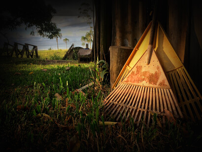 Puesto que estamos conectados en la cadena de la vida del planeta, es inevitable que algún día llegue la vuelta del sentido común para darnos cuenta que es imposible transcender la muerte si no hay memoria de quienes hemos sido