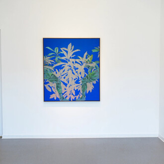 Fidencio Fifield-Perez, The passing of a shadow, exhibition view. Courtesy of Dreamsong Gallery