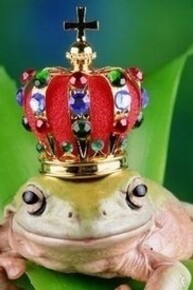 Il principe ranocchio