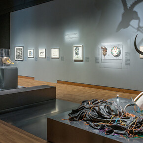 From Africa to the Americas: Face-to-Face Picasso. Courtesy of Musée des beaux-arts de Montréal