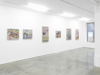 Installation view of David Schorr: Flying Carpets. Courtesy of Ryan Lee, New York.
