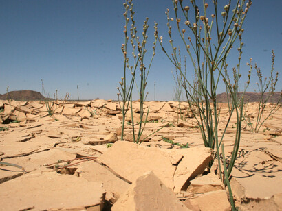 Más de 2,600 millones de personas no tienen acceso a agua potable, y el número puede crecer a 4,000 millones en la próxima década