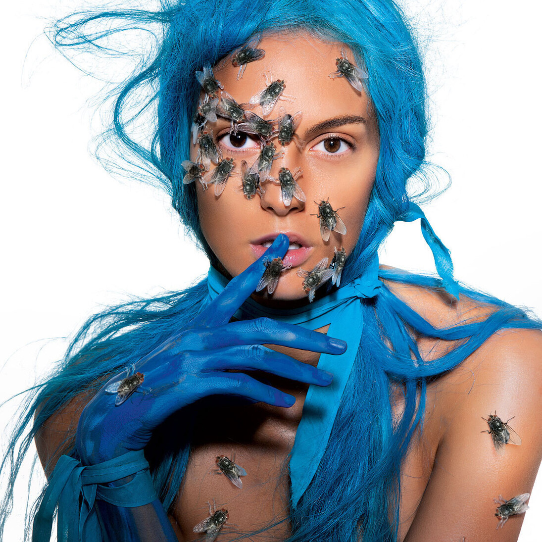 Heinz Schattner, Cyan 38x57xm Hahnemuehle Barytata