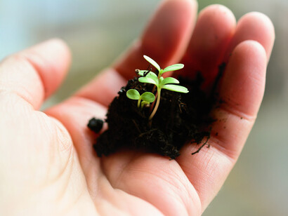 Germoglio nella mano. Politica Agricola Comune (PAC): Incertezze e proteste degli agricoltori europei