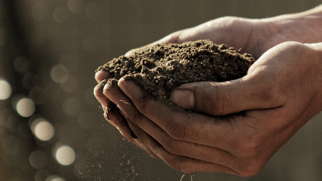 Por un nuevo modelo productivo que no esquilme la tierra y garantice el Estado del Bienestar