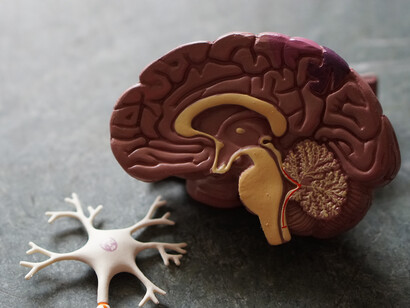 Le neurotecnologie possono essere invasive, quando richiedono l’impianto chirurgico di elettrodi connessi direttamente all’encefalo